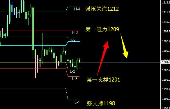 岡本003黃金(岡本003黃金和白金)