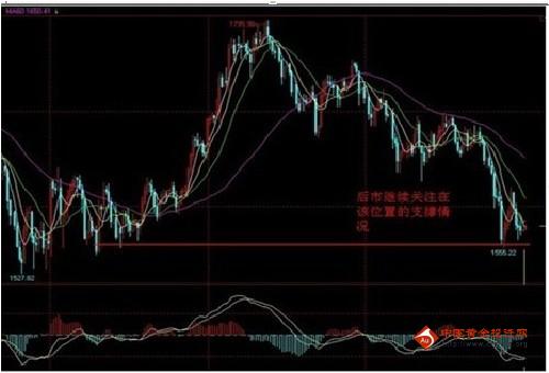 qq飛車黃金守護神數據(qq飛車白金守護神屬性)