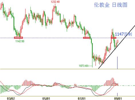 24k黃金棒原理(黃金24k工藝是什么意思)