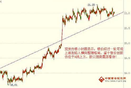 一條黃金葉多少錢(一條黃金葉多少錢回收)