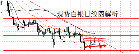 2018黃金貓(金銀貓最新進(jìn)展2020)