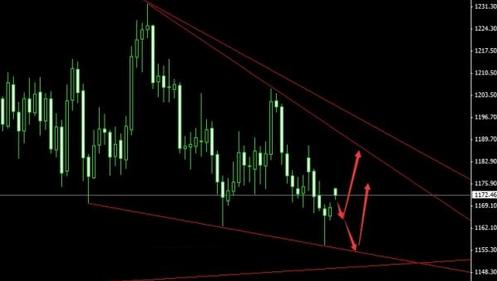 24k黃金達(dá)摩吃什么(黑金剛達(dá)摩和24k黃金達(dá)摩區(qū)別)