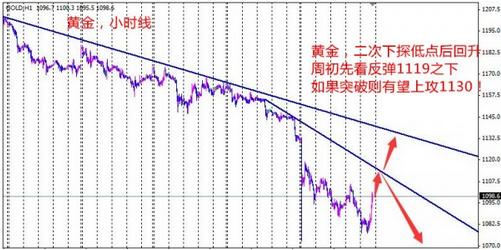 24k黃金大帆(24K黃金大帆喂什么身體黃)